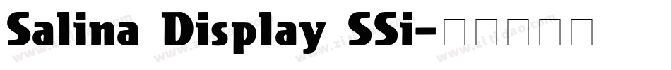 Salina Display SSi字体转换